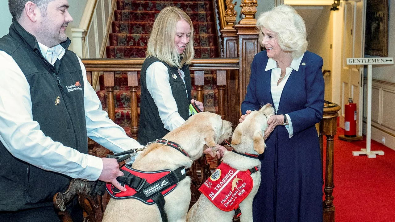 Queen Camilla Gives Medical Dogs the Royal Treatment