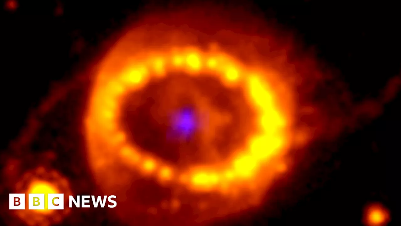 Supernova: Astronomers crack cosmic 'murder mystery'