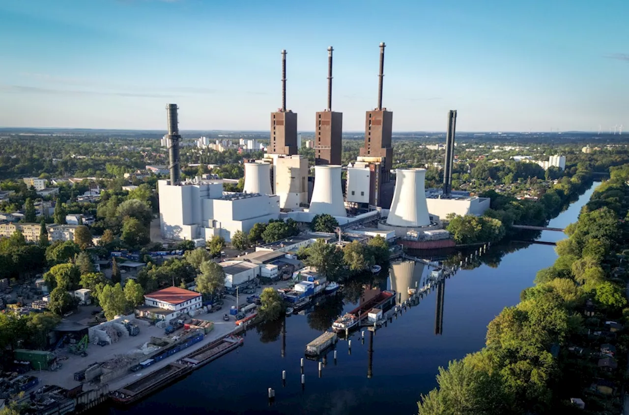 Neues Stromkabel für Berliner Süden: Baumfällungen, Grünanlagensperrung geplant