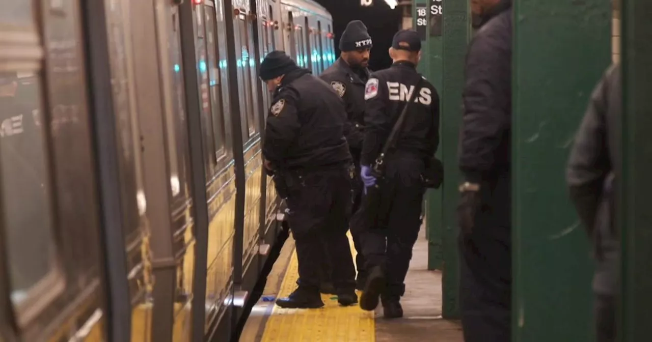 Man shot and killed on the subway in the Bronx, police say