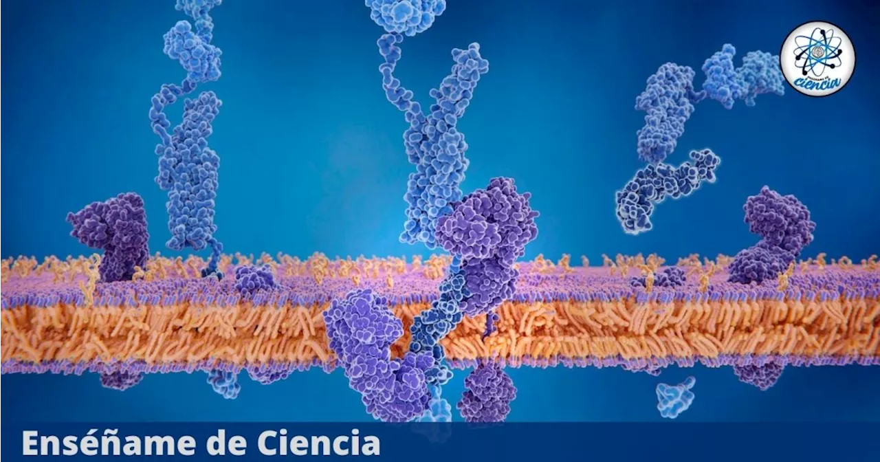 Instituto Tecnológico de Massachusetts lanzó curso virtual de BIOLOGÍA MOLECULAR GRATUITO