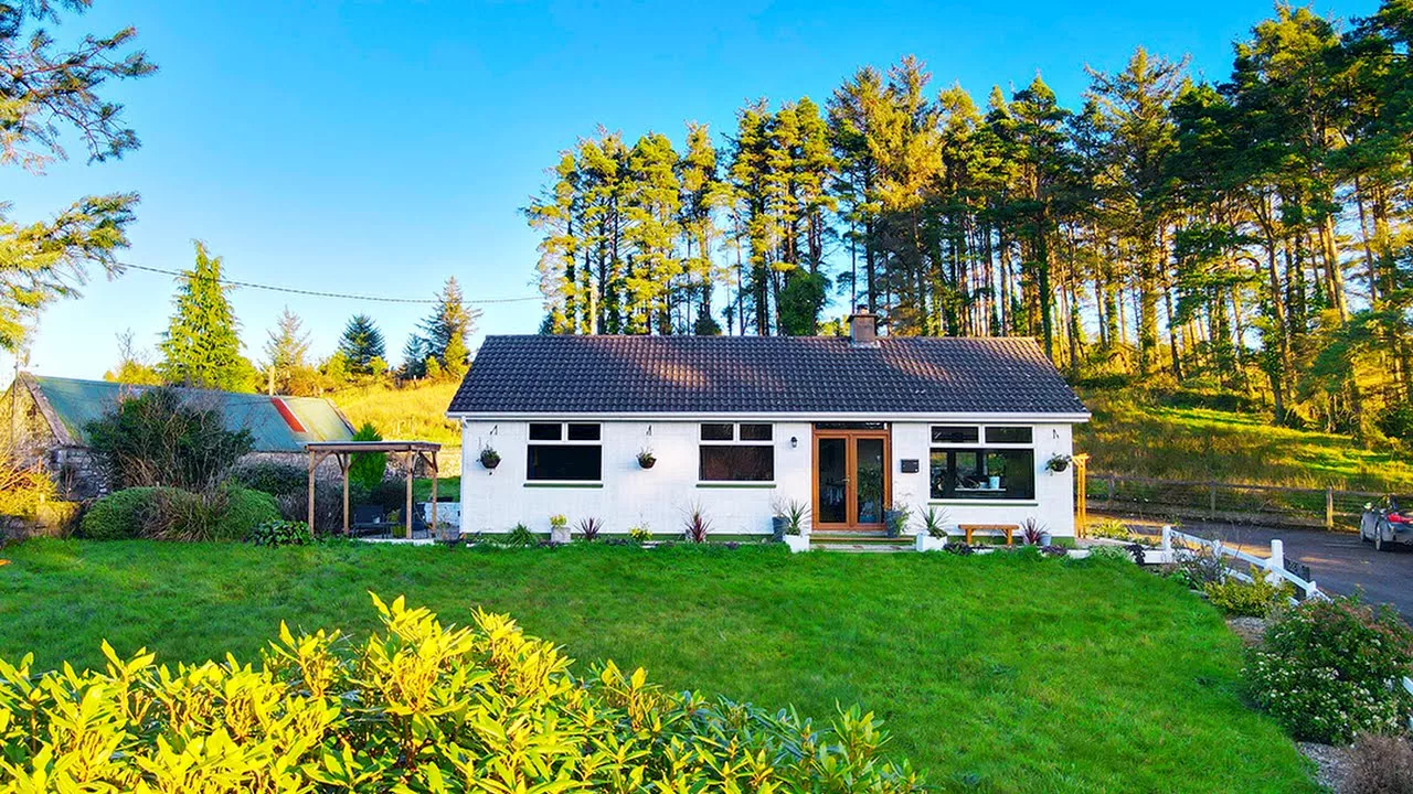 This Leitrim cottage on the market for €199,000 has a vibrant and colourful interior