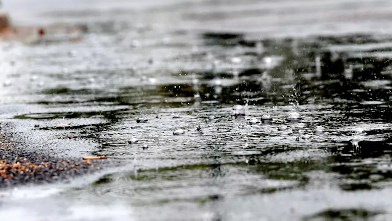 REPLAY. Tempête Louis : les départements pyrénéens ne sont plus en vigilance orange vent violent, 90 000 foyer