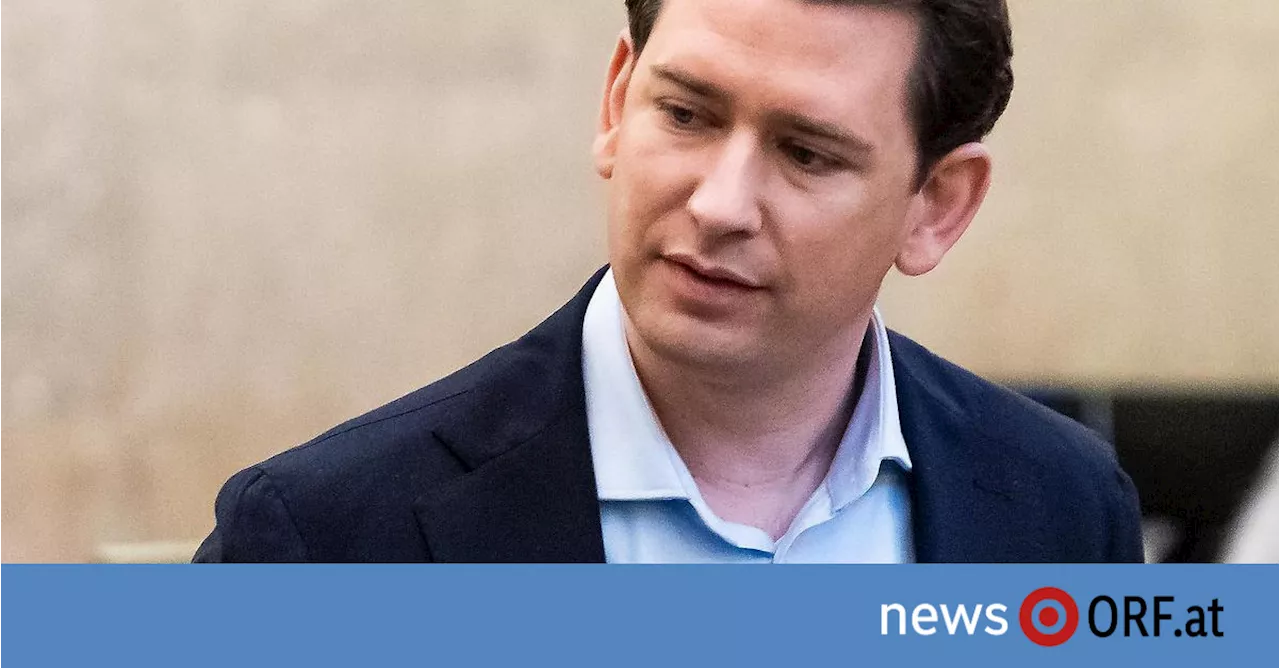 Prozess wegen Falschaussage: Acht Monate bedingt für Kurz