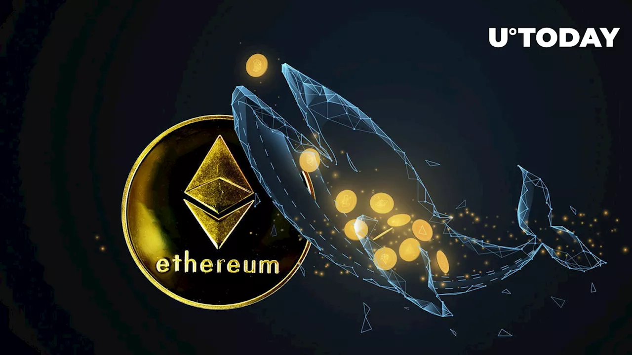 Massive Ethereum Whale Makes Surprising Move After ETH Hit $3,000