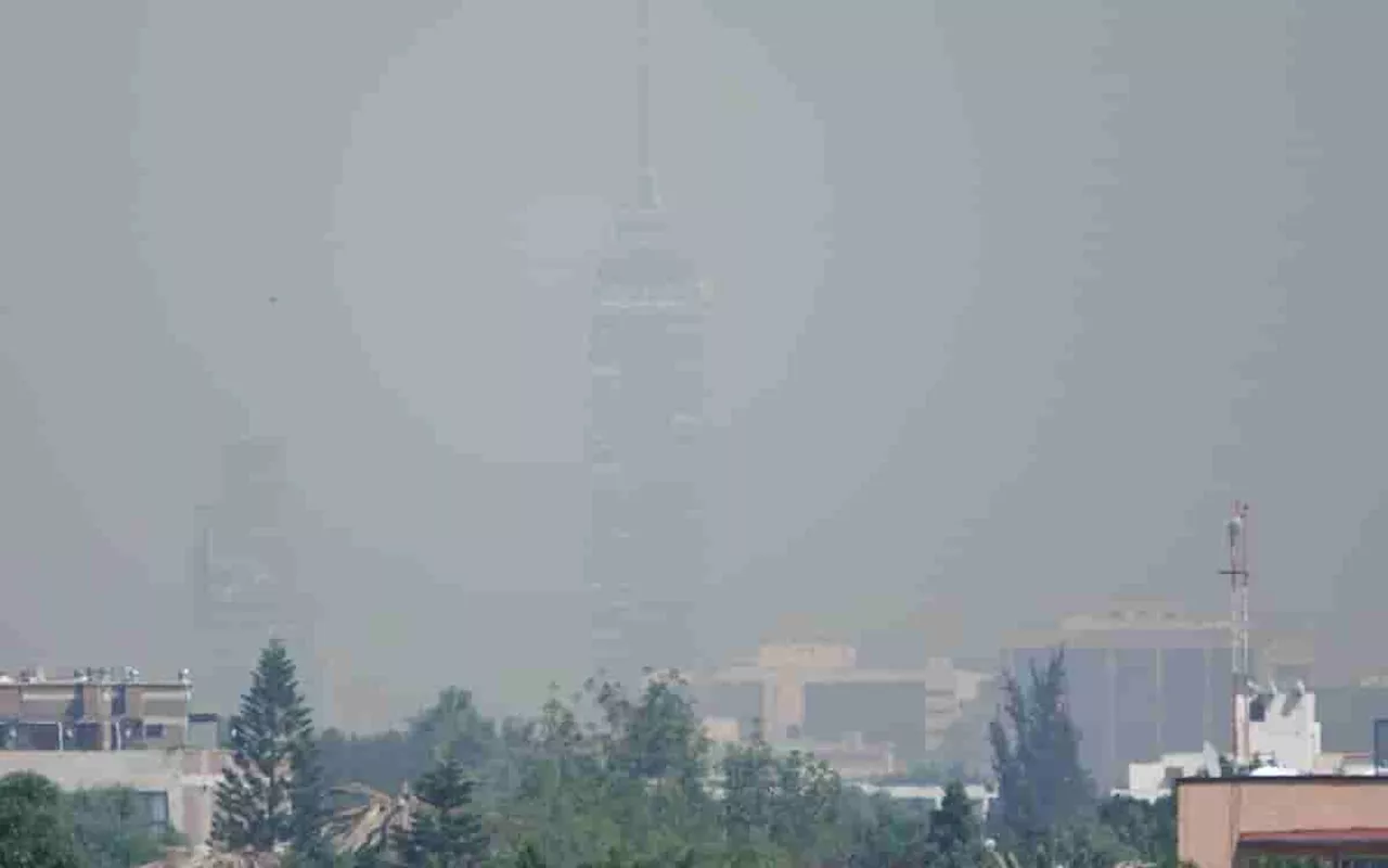 Continúa contingencia ambiental; estos autos no circulan este sábado