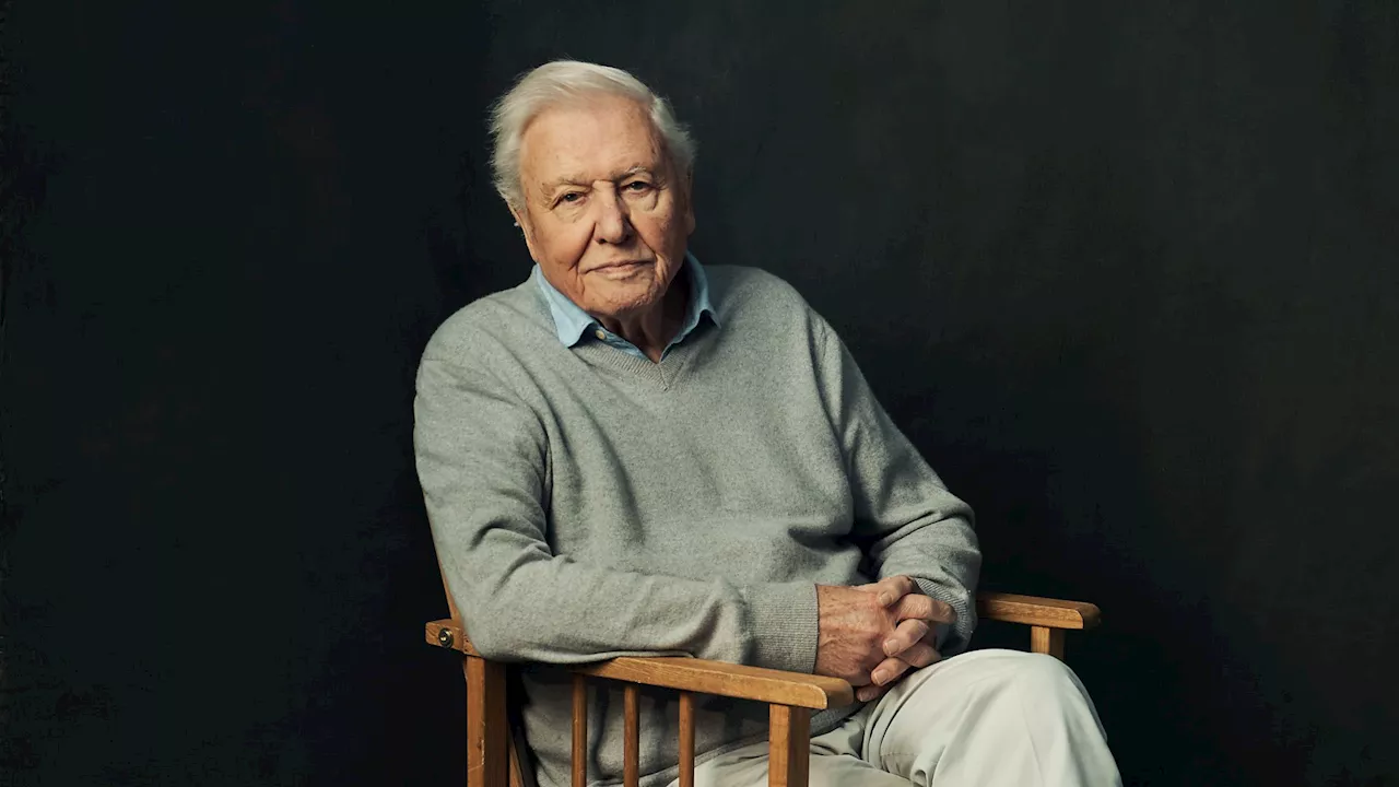 Sir David Attenborough to present BBC Studios Natural History Unit's Mammals