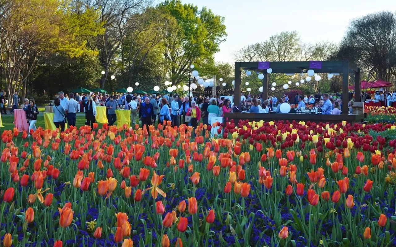 Dallas Arboretum Food & Wine Festival is Back with Some of Dallas' Best Chefs