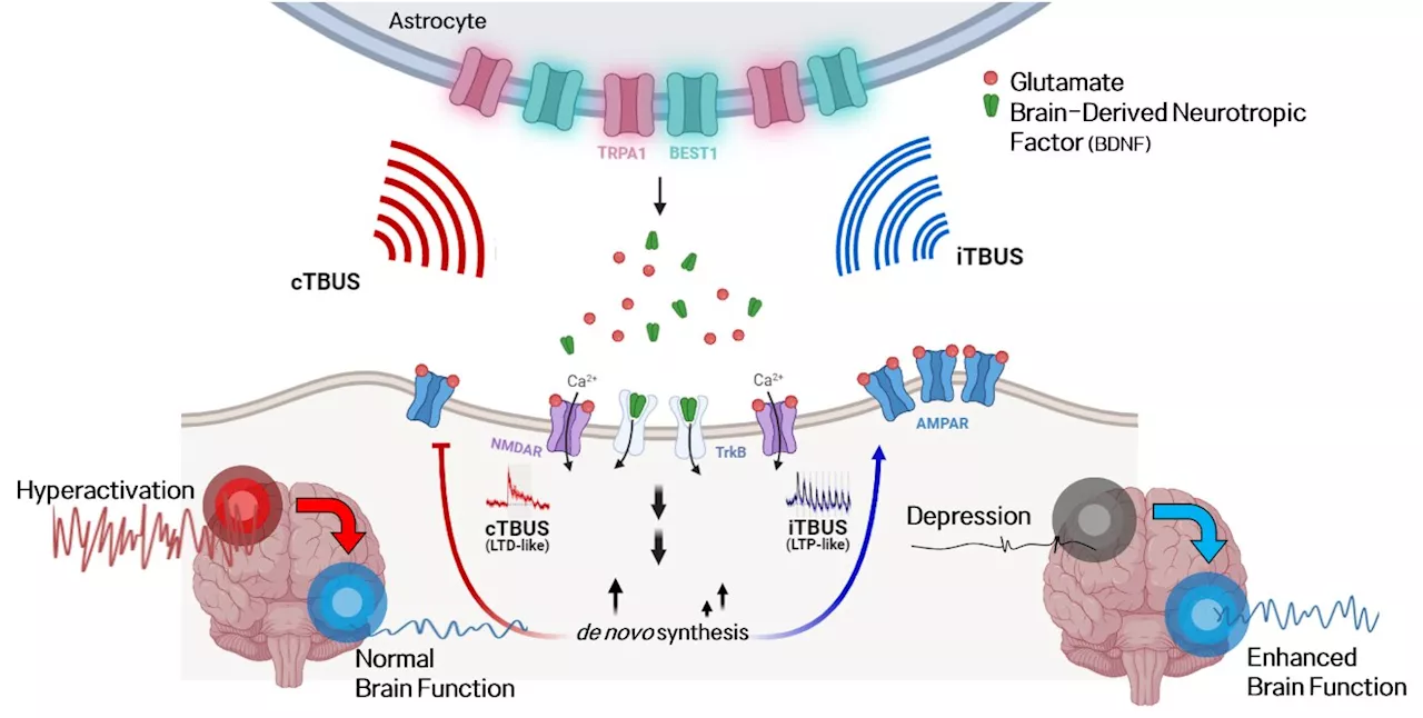 New brain stimulation technique shows promise for treating brain disorders