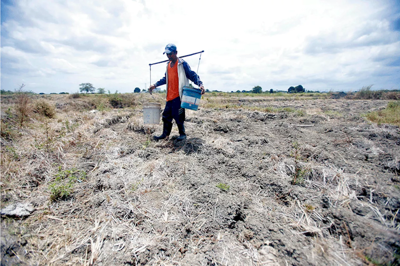 Gov't agencies take steps to mitigate El Niño effects