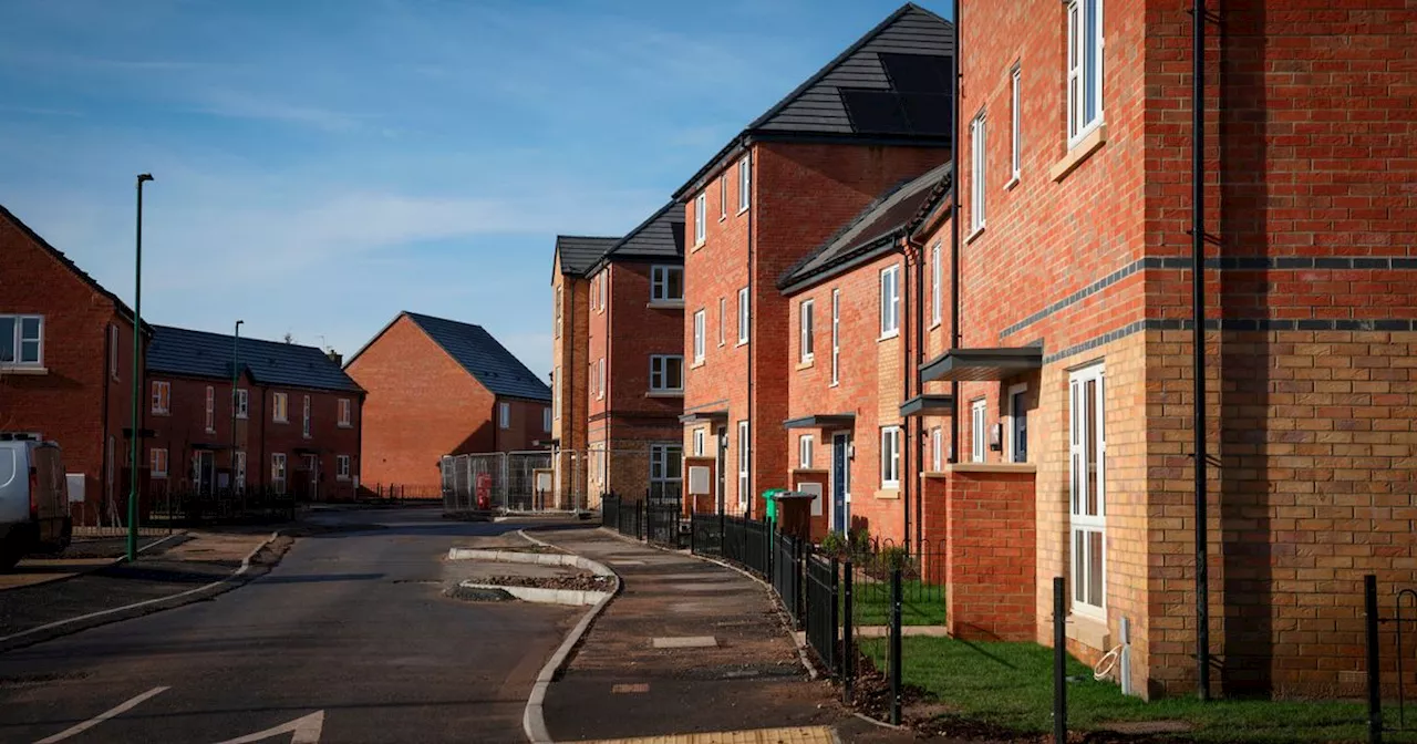 The 'quiet' new council estate with lovely neighbours