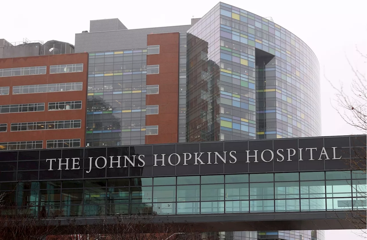 Prominent pathologist leaves Johns Hopkins after allegations