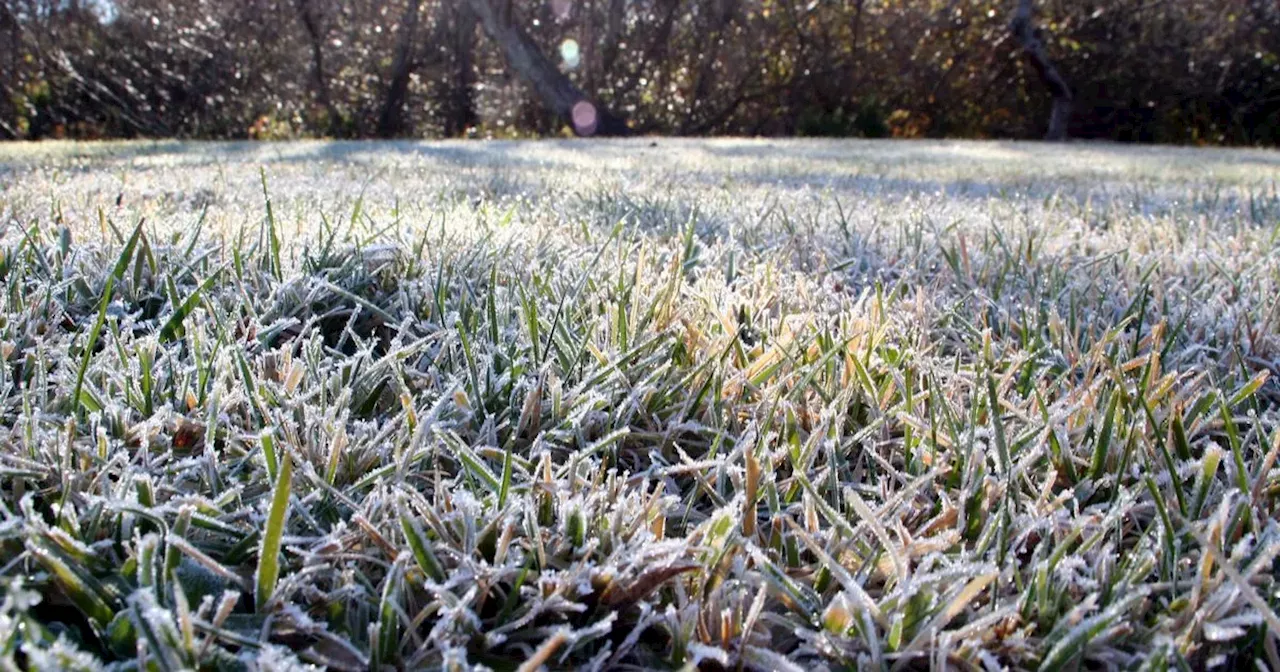 Met Eireann's snow verdict as temperatures to plunge to -2 degrees