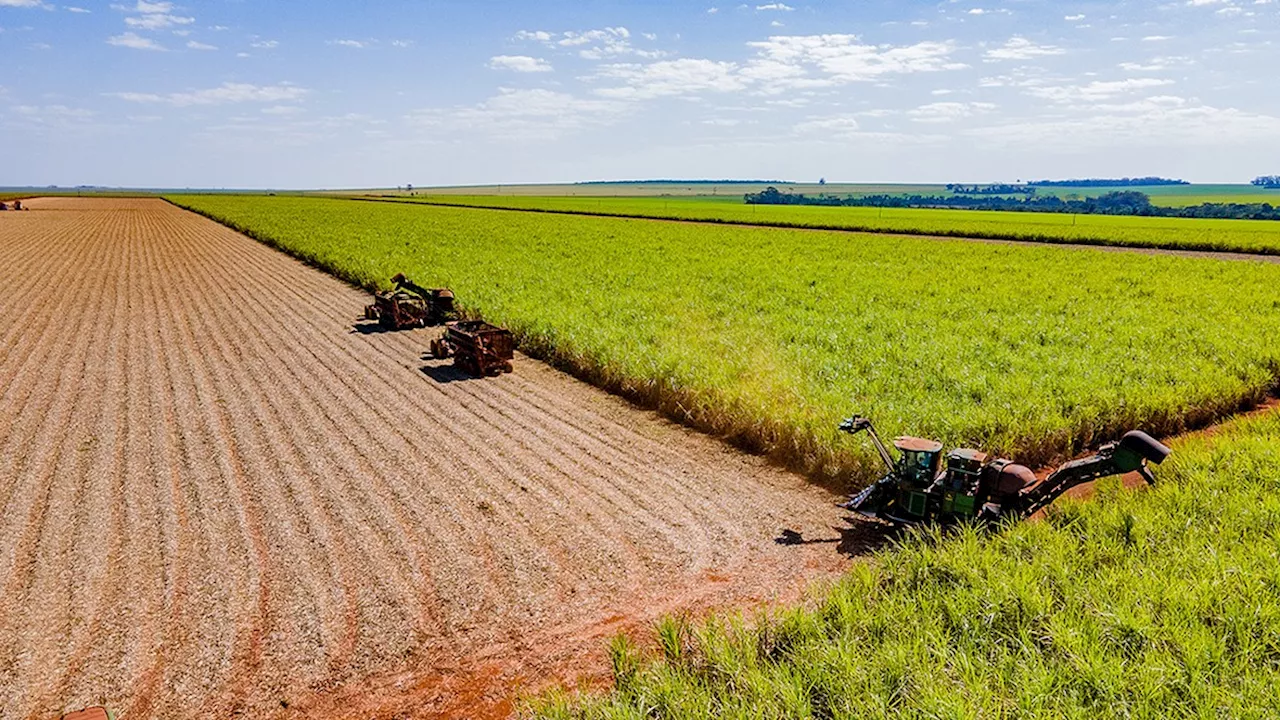 Brasil quer expandir agenda de biocombustíveis no G20