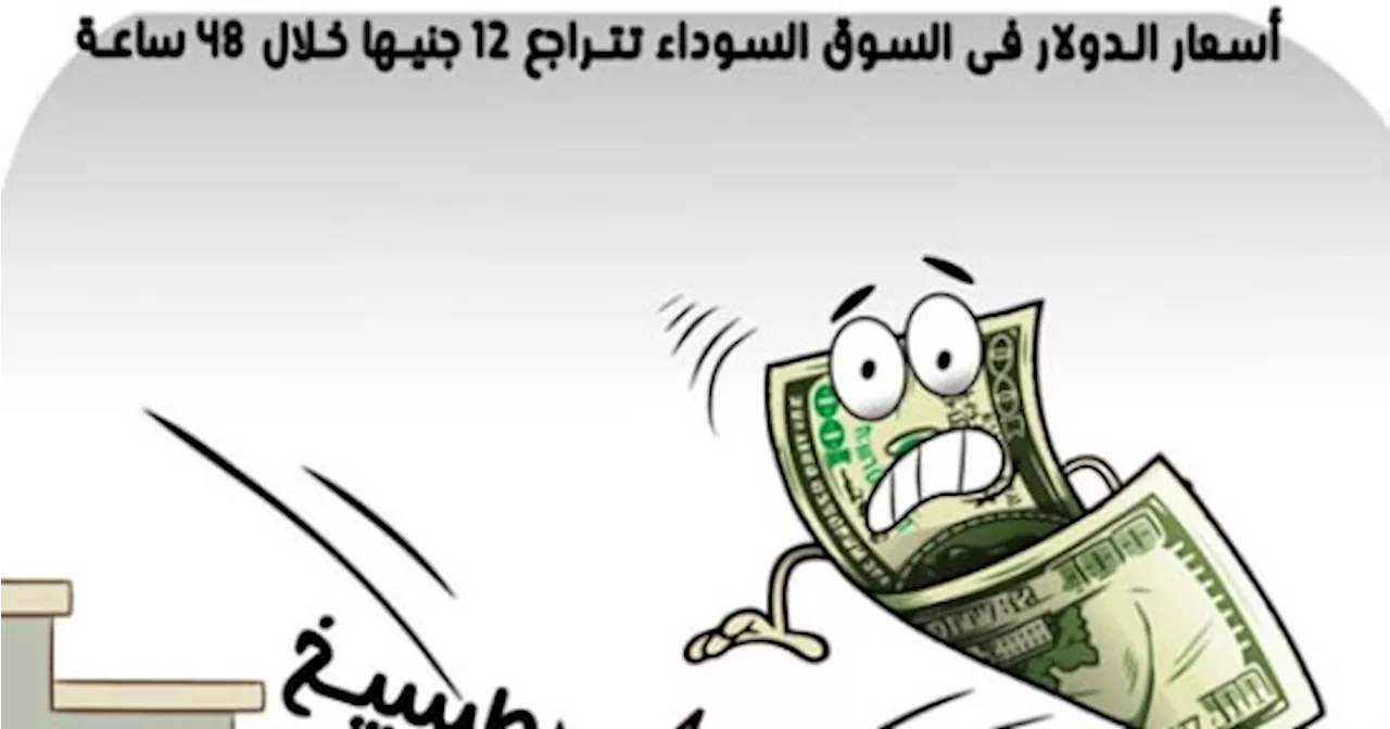 الدولار الأمريكي يسقط من سلم السوق السوداء في كاريكاتير اليوم السابع