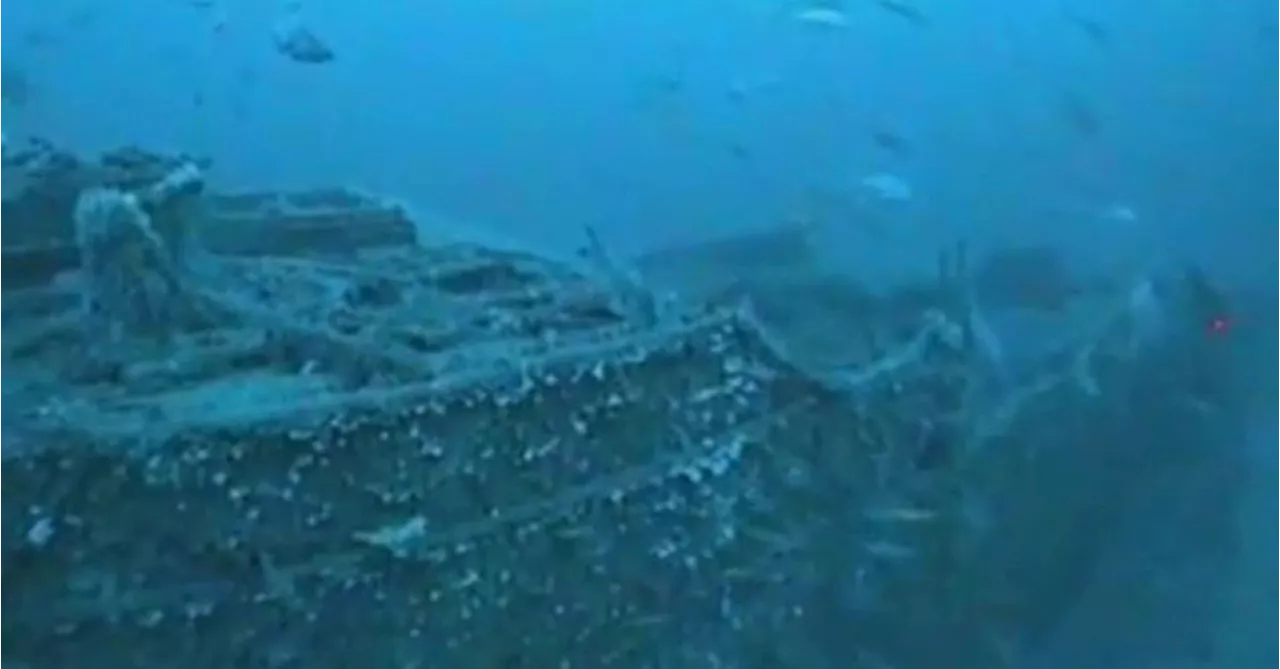 Century-old mystery of lost ship solved by accidental discovery