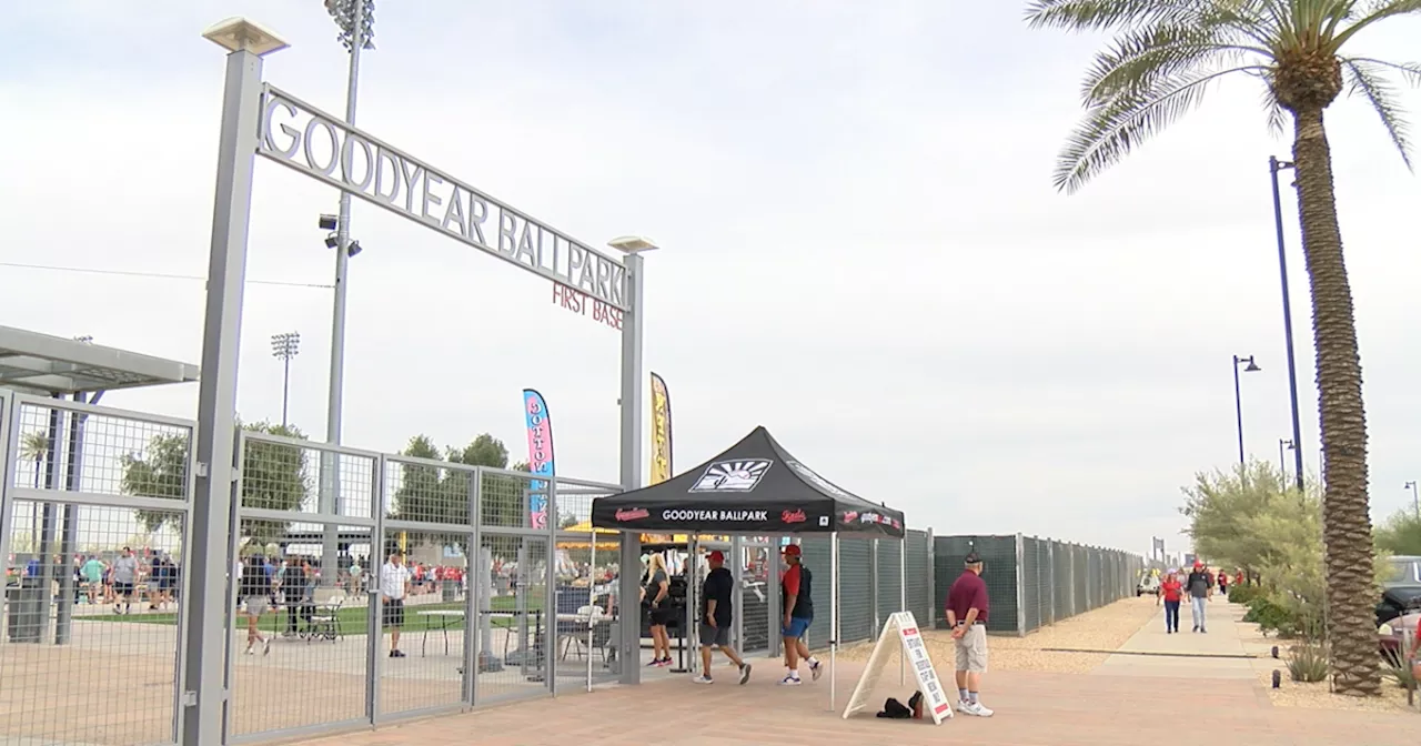 Goodyear hoping to capitalize on spring training fans coming to West Valley