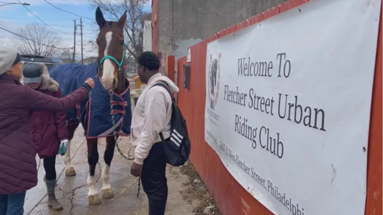 Horse that went viral galloping on I-95, escaping Philadelphia stables, earns new name