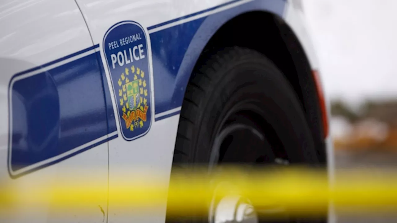 Police investigating after transit bus shot at in Mississauga