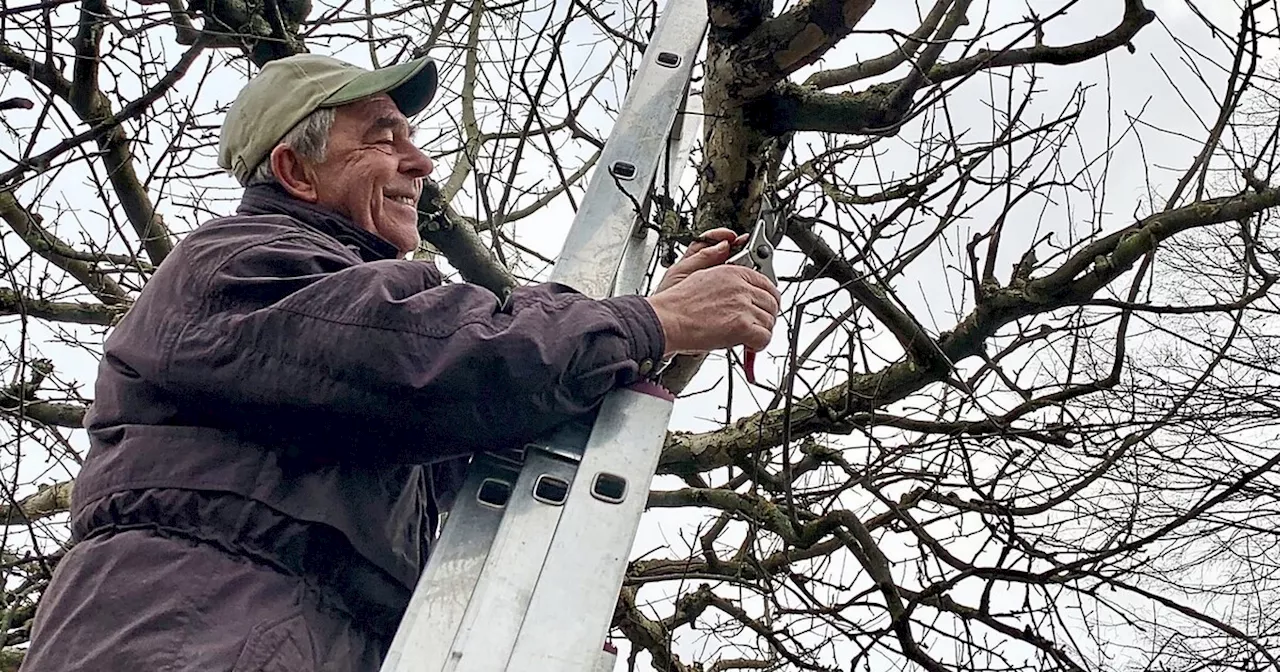 Tote Bäume, neue Chancen: Unterwegs mit Altdorfer Gartler Hans Scharf