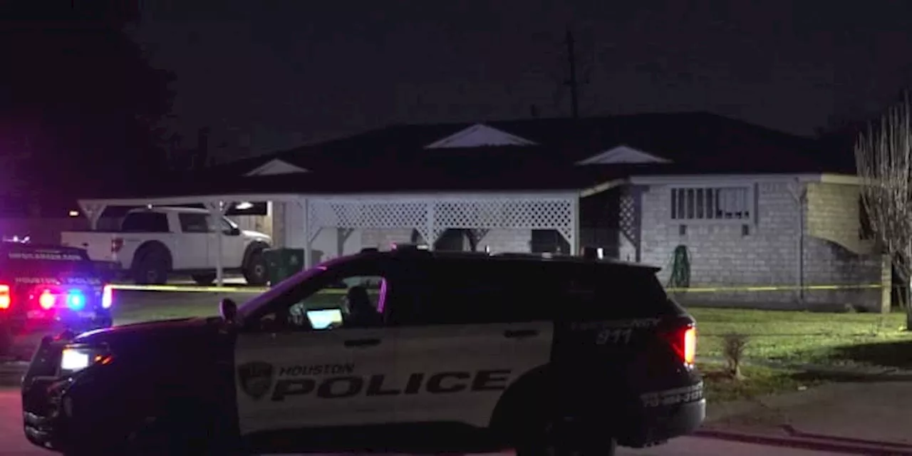 Man shot to death in front of family in SW Houston home invasion