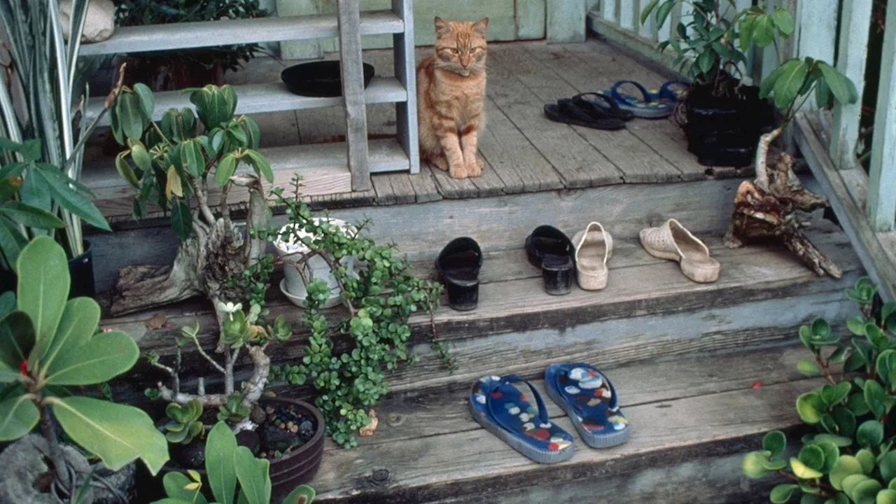 Why Scientists Recommend Leaving Your Outside Shoes at the Door