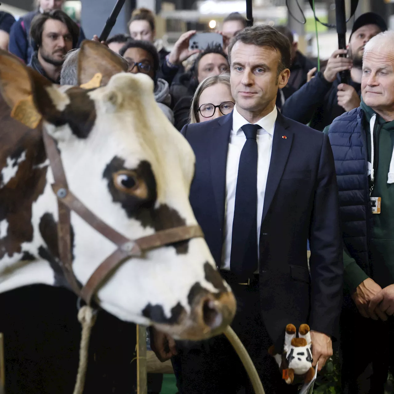  Salon de l'Agriculture : Chahuté, Emmanuel Macron dénonce une 'politisation' de la colère agricole