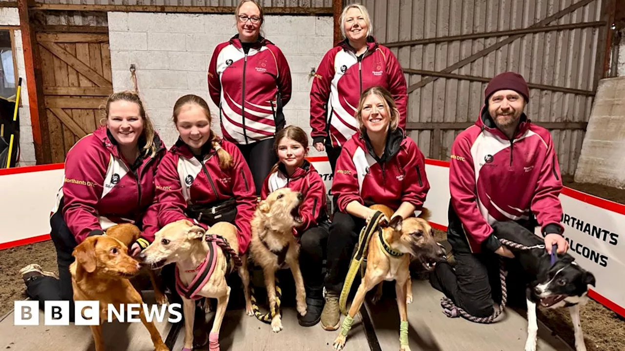 Crufts 2024: Bozeat team qualifies for flyball quarter finals