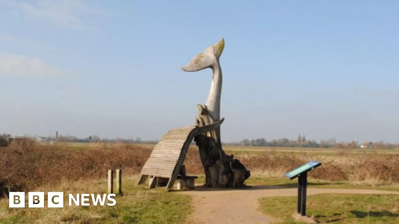 King's Lynn whale sculpture to be replaced