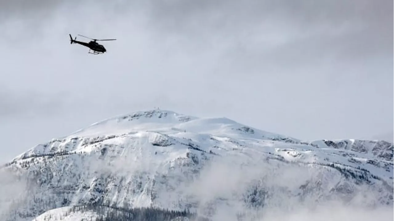 Snowmobiler killed in avalanche near Alberta's Castle Mountain ski resort