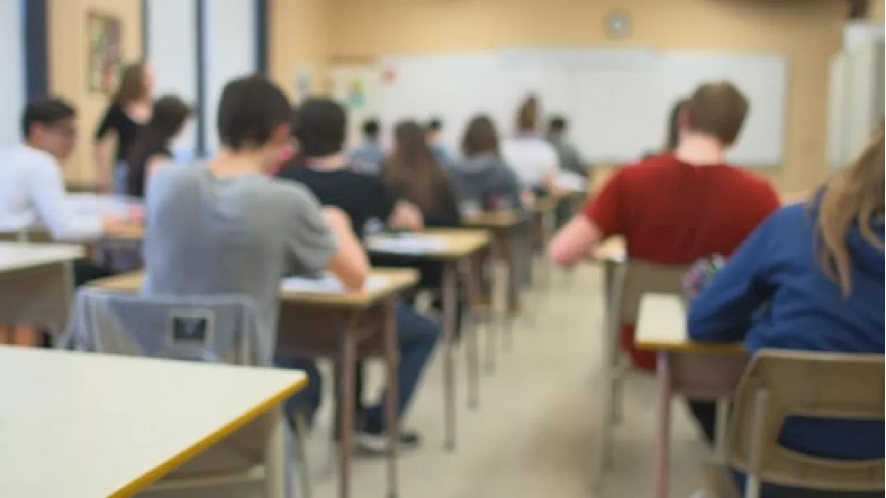 20% of Quebec high schools don't offer drug prevention programs, new report finds