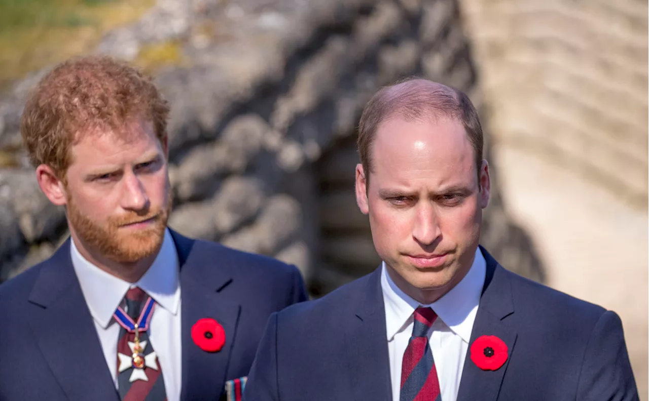 Prince William : ce qui l'aurait rendu très 'jaloux' de son frère Harry