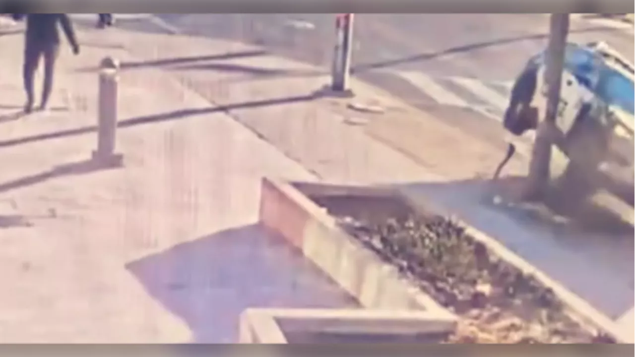 Video shows cruiser mount downtown sidewalk, knock over light standard