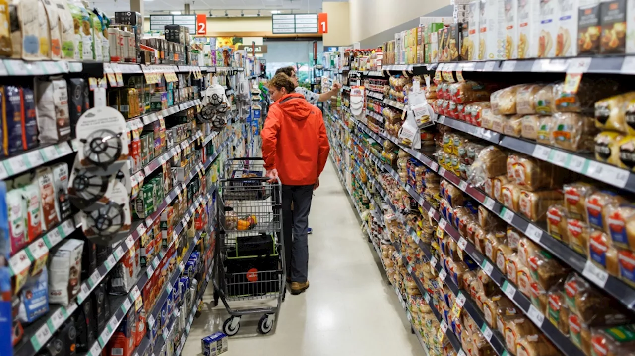 Grocery shoppers switching stores to find discounts and deals: report