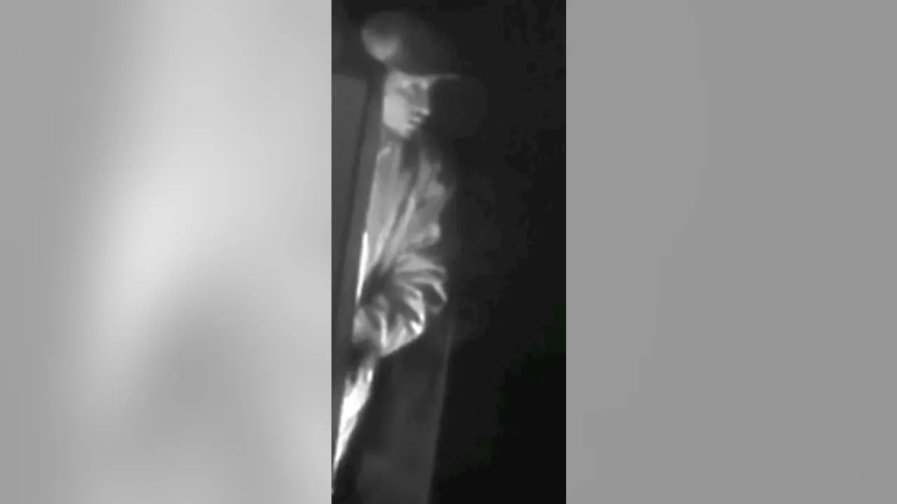 Pasadena arson: Suspect sought in 2019 business fire