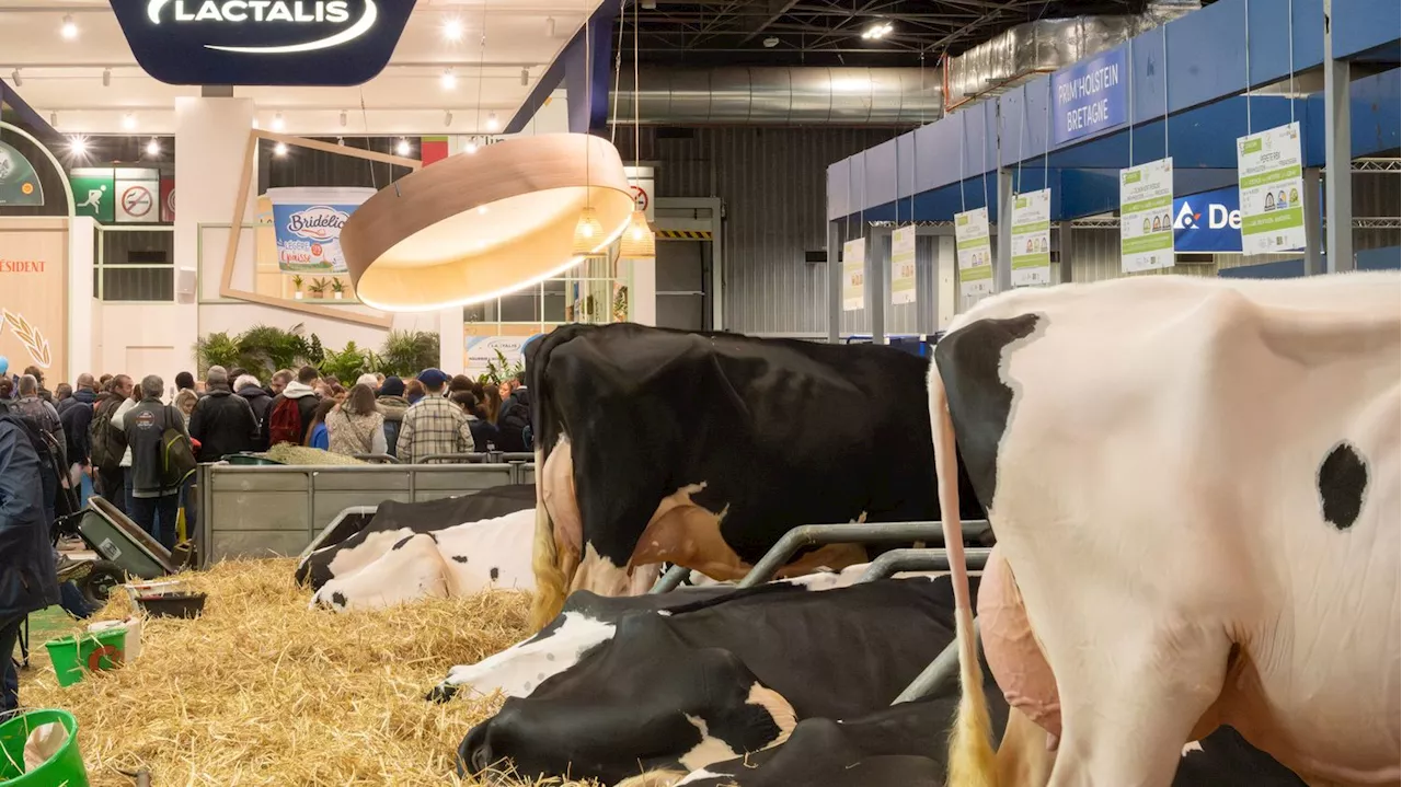 Salon de l'agriculture : des producteurs laitiers normands manifestent devant le stand de Lactalis