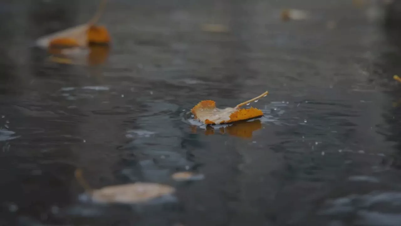 ‘Significant storm system’ hits Western Washington