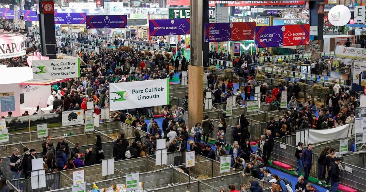 Salon de l’Agriculture : Prisca Thevenot dénonce «une centaine d’ultras venus pour en découdre»