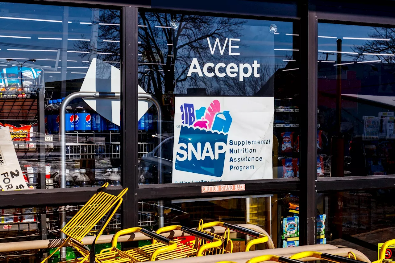 Study finds SNAP benefits may improve medication adherence among food-insecure individuals