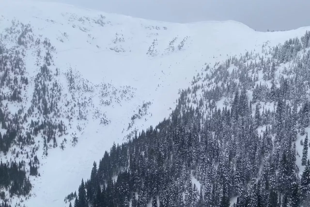 New snow creating 'very dangerous' avalanche conditions in B.C. backcountry