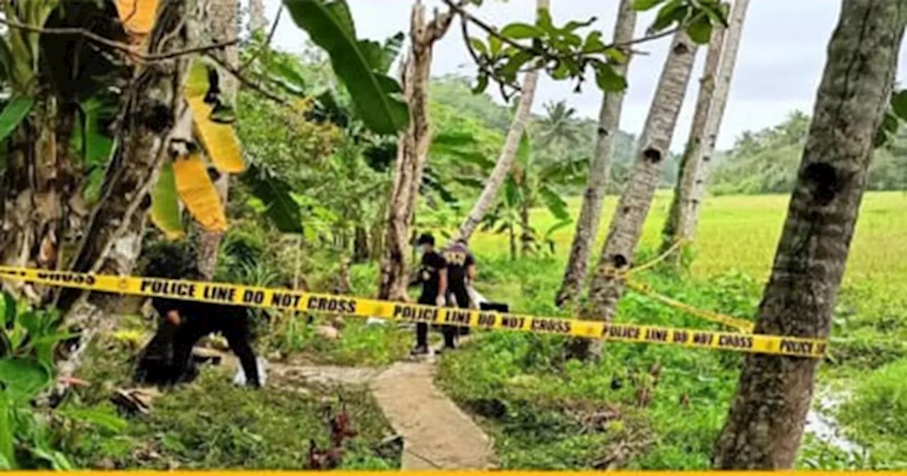 PNP Chief defends operation in Bilar, Bohol