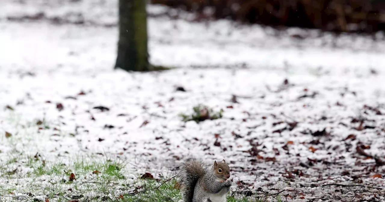 Met Office statement on possibility of snow in NI this week