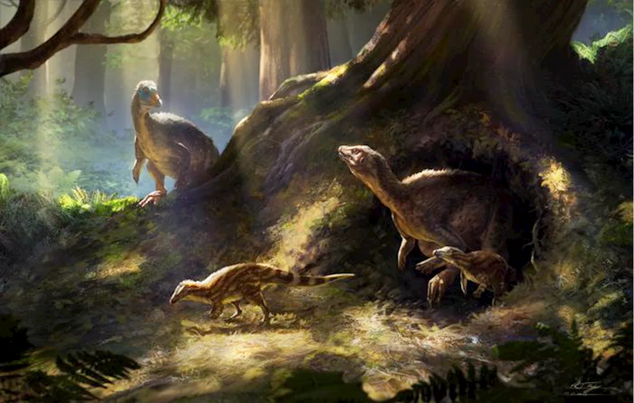 A Chicken-Like Dinosaur With Super Senses Is Finally Gets the Attention It Deserves