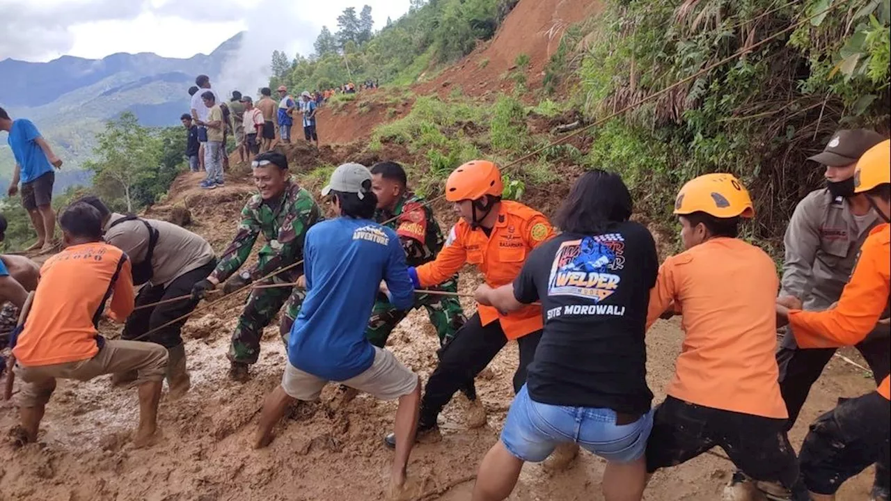 Korban Longsor di Luwu Terus Dicari, Lima Ditemukan Tewas