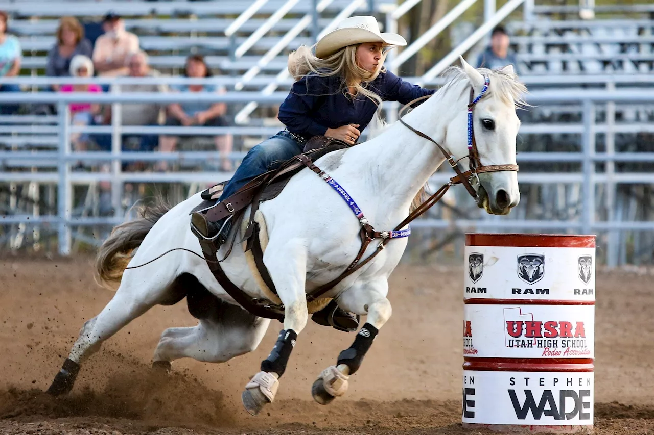 Rodeo sport safety: Injuries and prevention