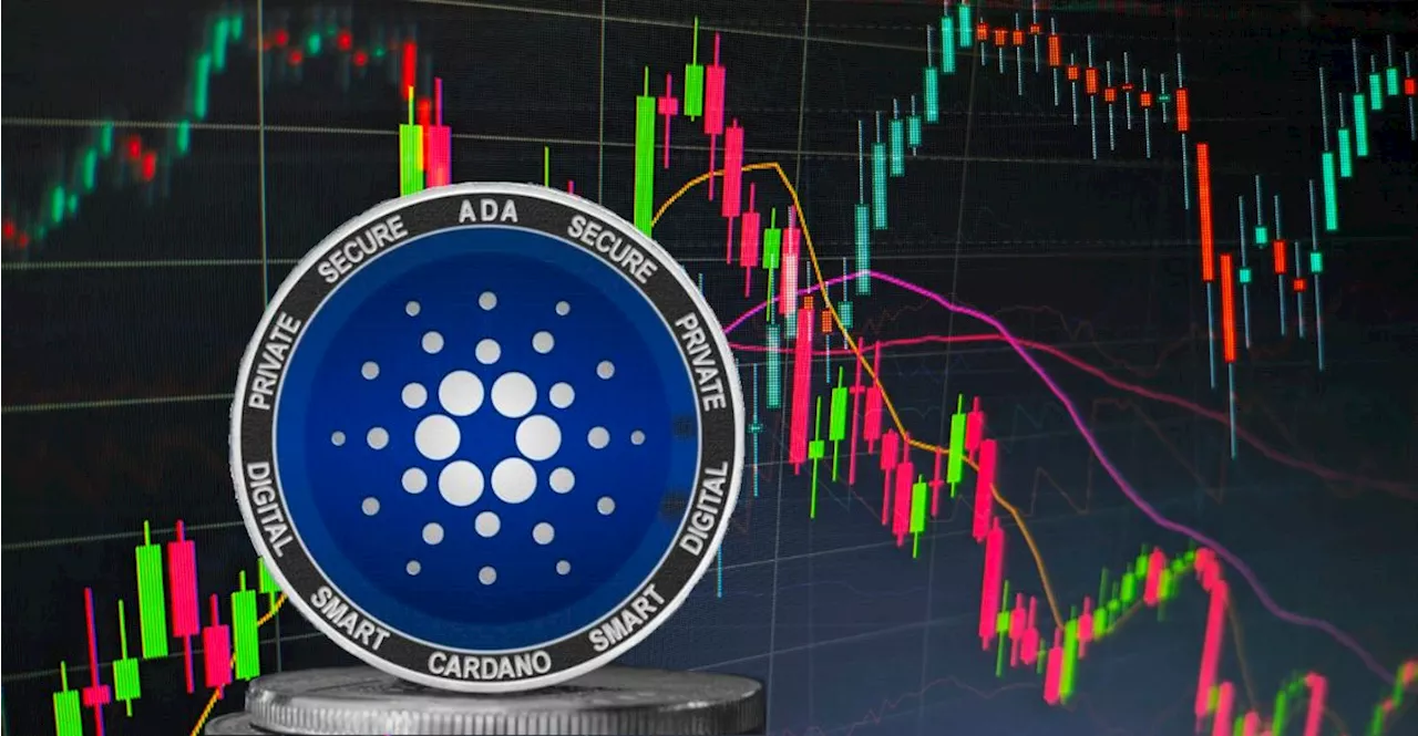 ผู้เชี่ยวชาญเผย ราคา Cardano มีแนวโน้มที่จะพุ่งขึ้นไปแตะ 0.7 ดอลลาร์ หลังตลาดเริ่มฟื้นตัว