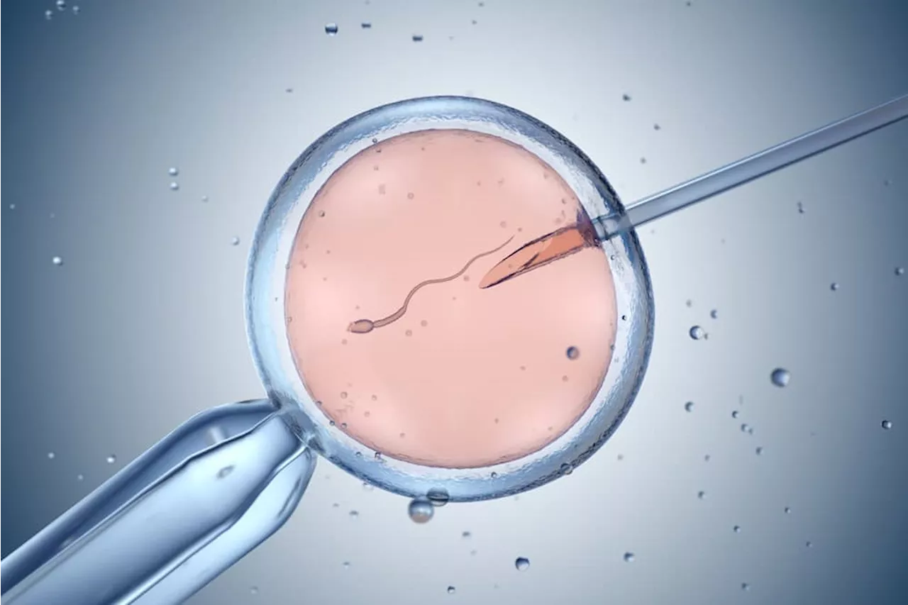 Will Texas Outlaw IVF Following Alabama Ruling?