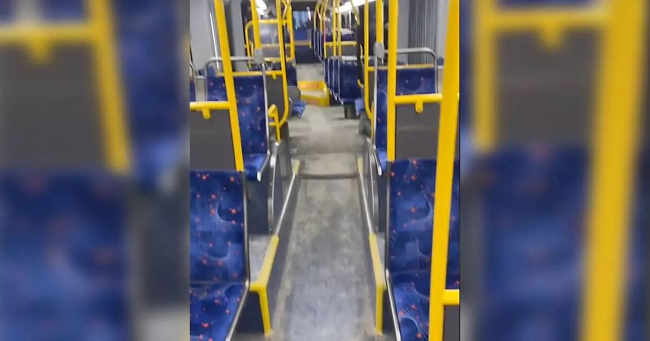 Viral video shows passenger 'locked in' Brampton bus alone