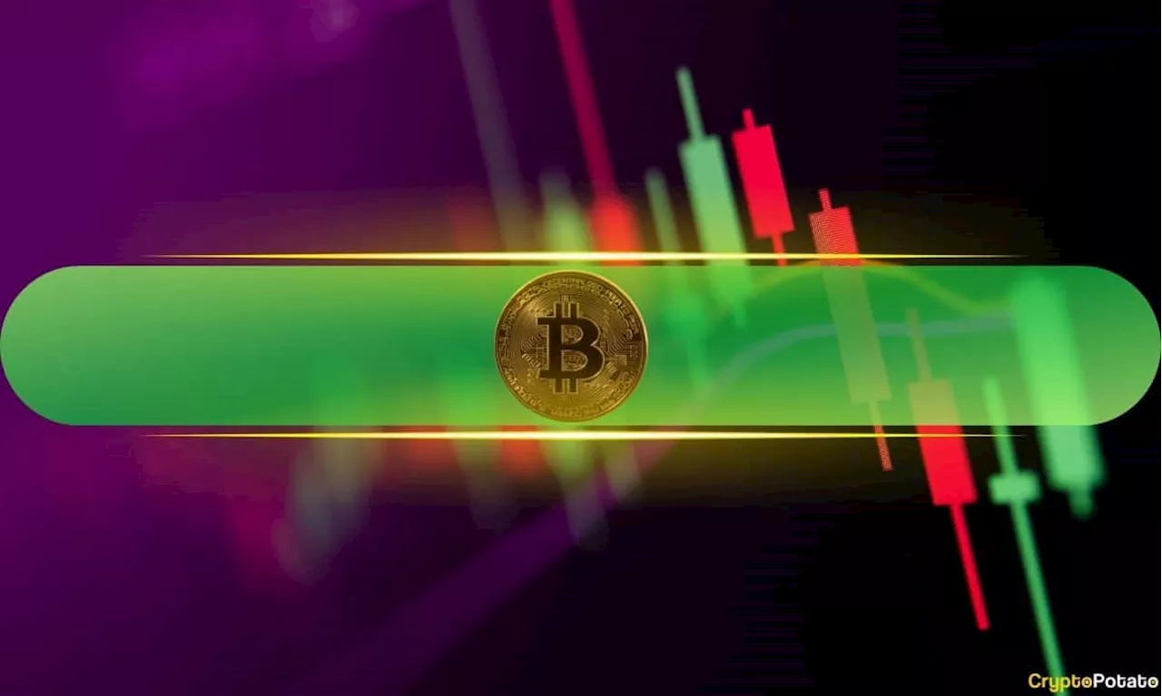 Crypto Markets Add $140 Billion Daily as Bitcoin Price Soars 10% (Market Watch)