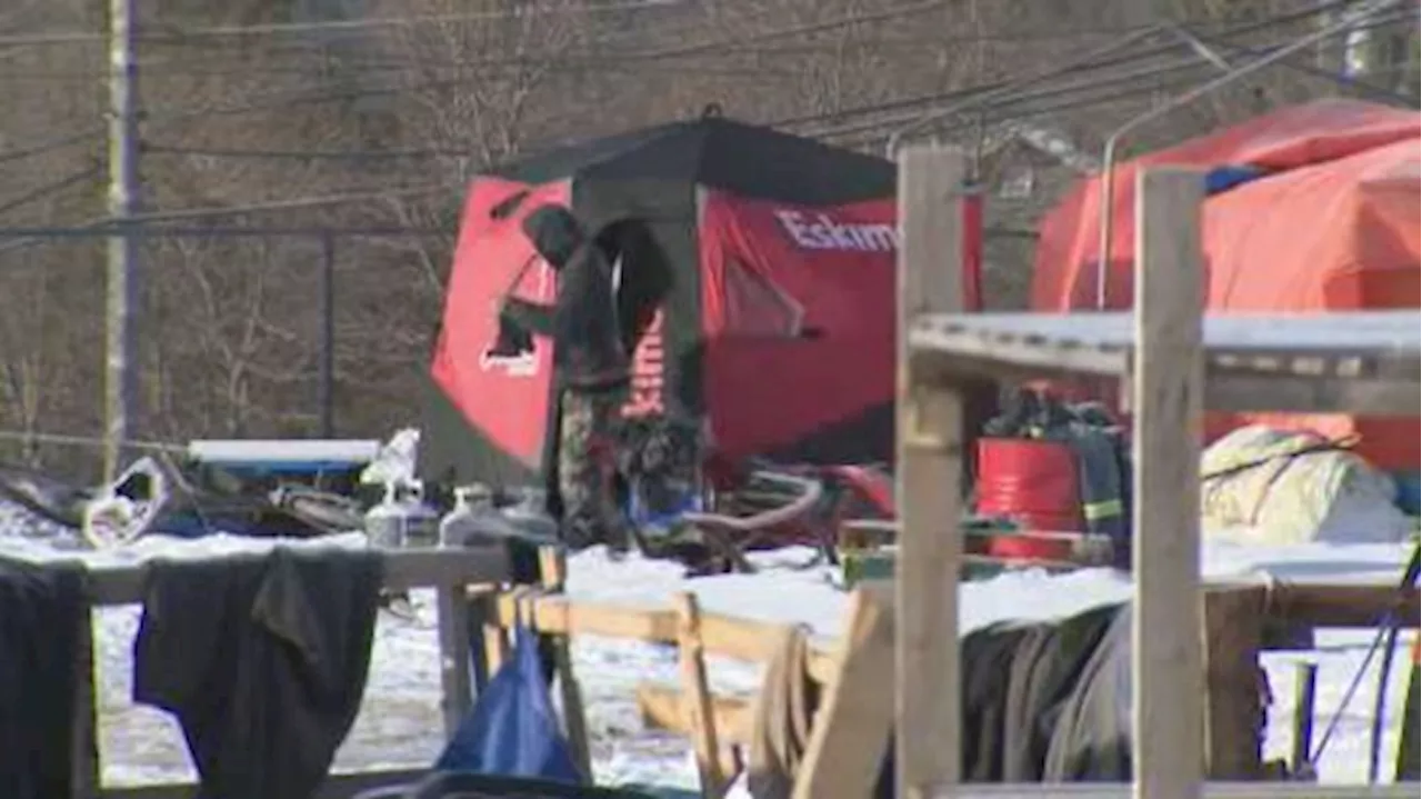 Deadline to vacate 5 Halifax encampments arrives | Watch News Videos Online